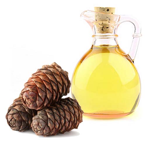 Himalayan cedarwood essential oil distilled by Namiex Chemicals, shown with cedar cones